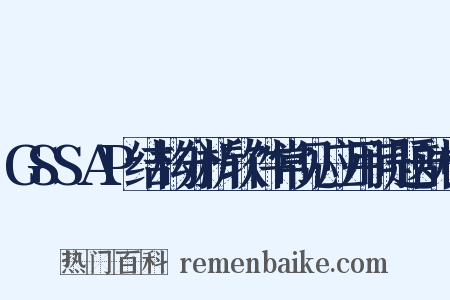 GSSAP结构分析软件常见应用问题剖析是什么意思的图片